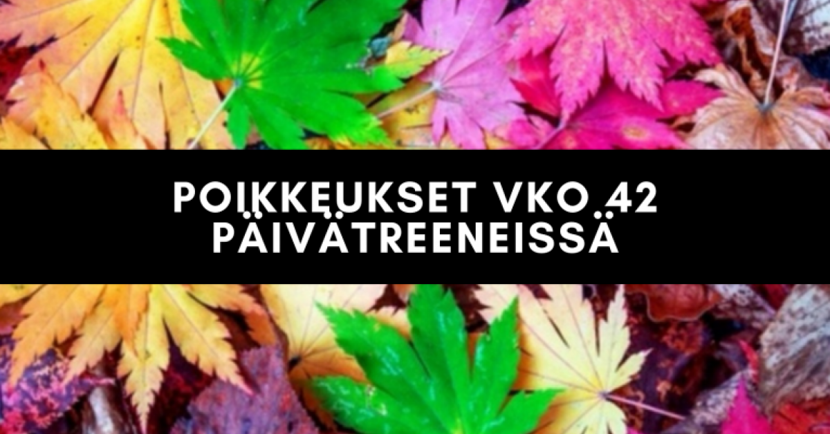 Syyslomaviikon päivätreenit
